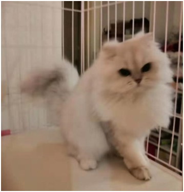 微信图片_202002210128553.png