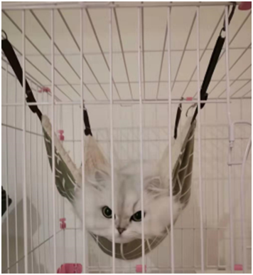 微信图片_202002210128554.png