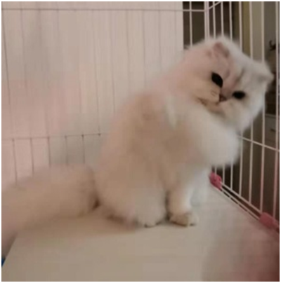 微信图片_202002210128552.png